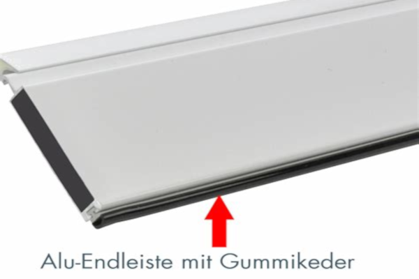 Endleiste mit Gummikeder