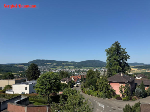Schrägrollladen-Einbau